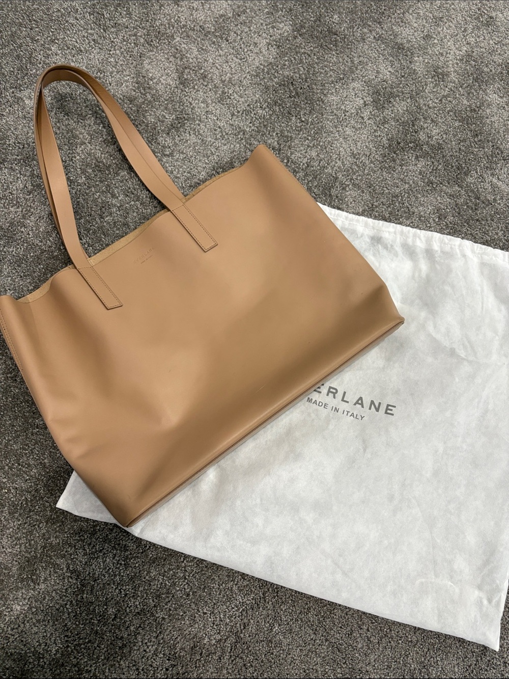 Everlane Leather Tote in Tan